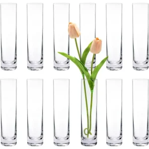 Glass Cylinder Bud Vases